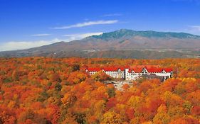 Hotel Green Plaza Karuizawa